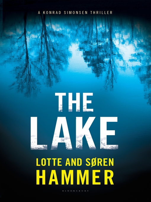 Cover image for The Lake